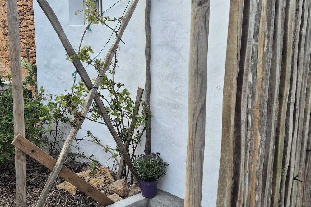 Formentera Cottage | Rural house (Casa tia Rita)