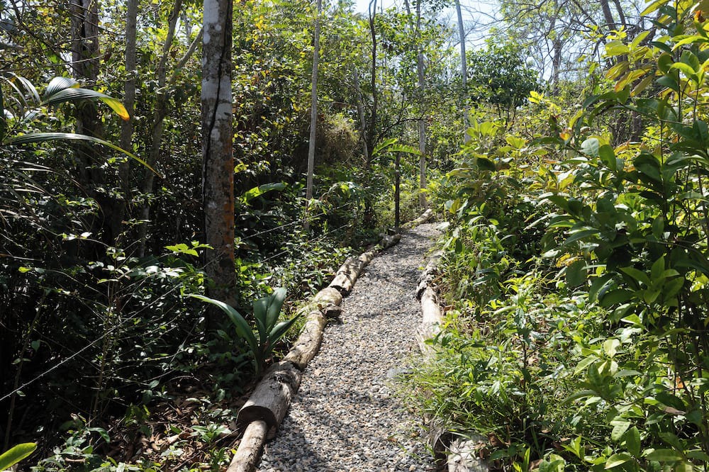 Palenque House | 4-bedroom beachfront paradise in Palenque with AC, pool, walking trail and more!