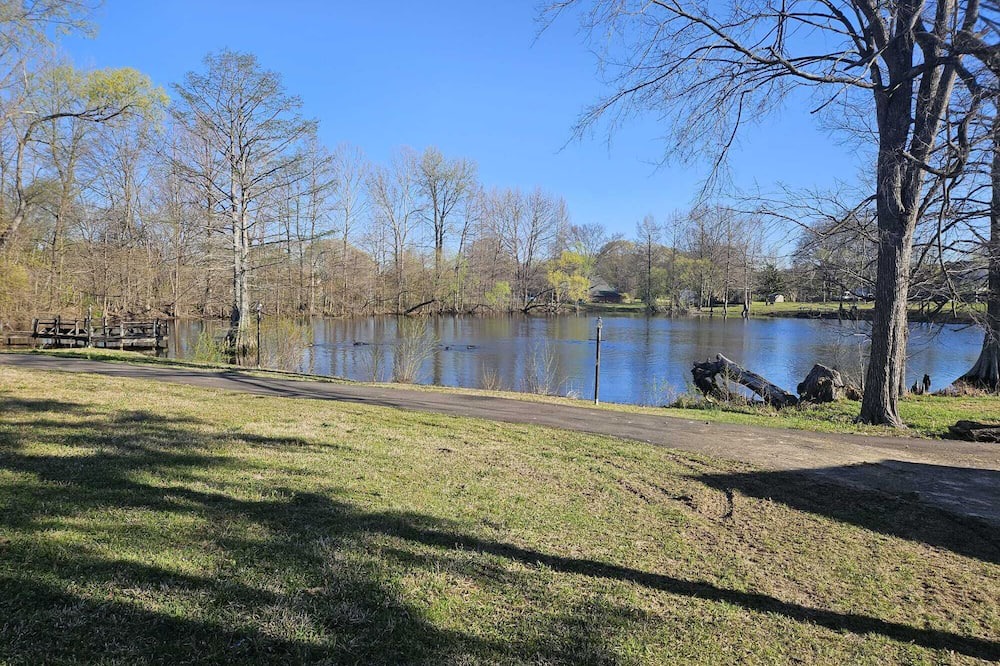 Olive Branch House | Grand 8-Bedroom Brick Southern Home with Lakeview Backyard.