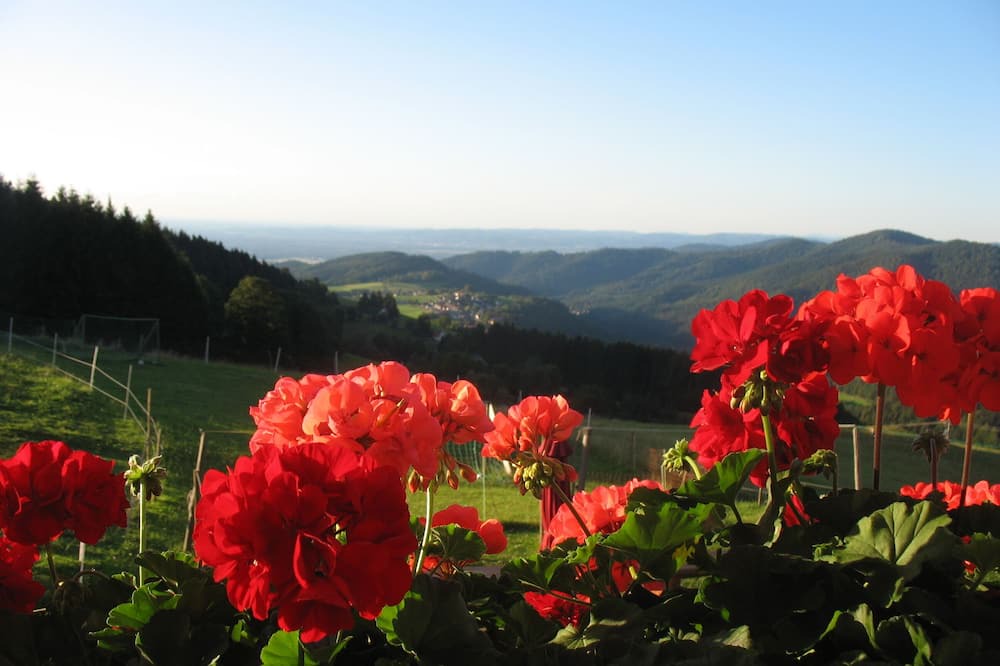 Horben Apartment | Panoramablick, Typ C, 65 qm, 2. Etage, max. 3 Pers.