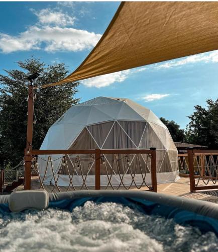 Boqueron Other | Glasswing Dome