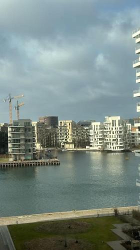 Vika Apartment | Fantastic apartment by the beach
