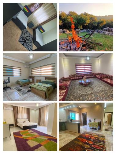 Ajloun Apartment | مزرعة الفوار