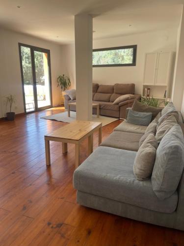 Alella Apartment | Forest Studio