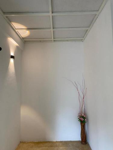 Wanchawala House | Feel House