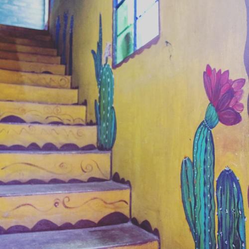 Salsipuedes House | Casa colibri
