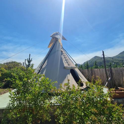 Witelsbos Other | Teepees Tsitsikamma Wolf Sanctuary