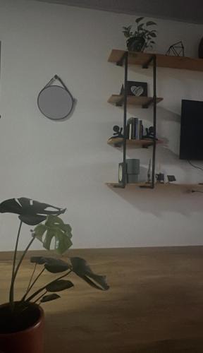 Cuiaba House | Aluguel por temporada Bom Clima