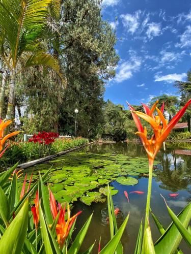 Jardin Hotel | Posada turistica Avalon