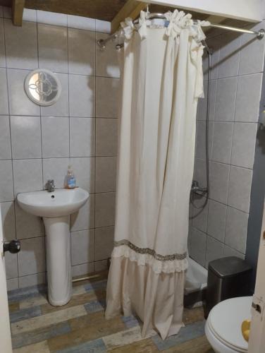 Lican Ray Apartment | Lican Ray 2024