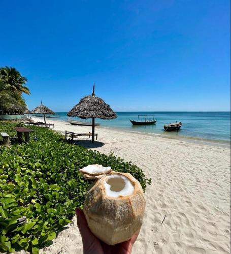 Mafia Island Bed & Breakfast | New Afro Beach Bungalows