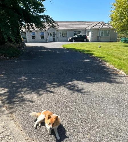 Kilgreaney House | graiguenamanagh Homestay