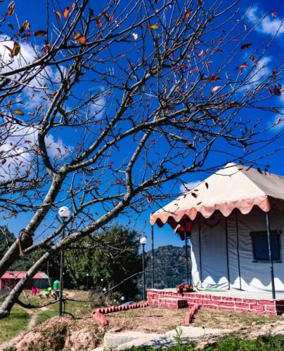 Kanatal Hotel | InstaView Kanatal