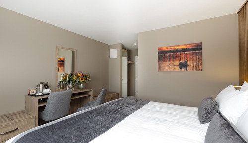 Superior Single Room