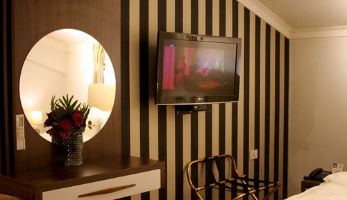 Junior Studio Suite