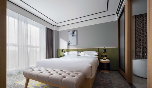 Business Suite, 1 Bedroom