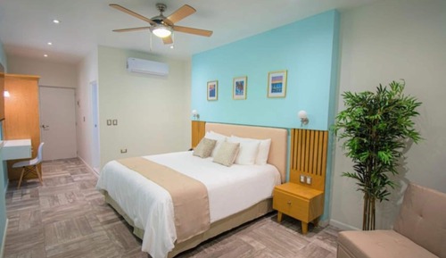 Basic Apartment