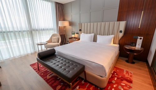Executive Room, 1 King Bed