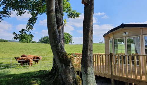 Cabin