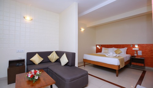 Deluxe Double or Twin Room