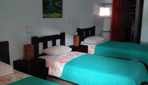 Basic Triple Room