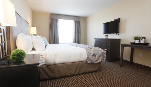 Deluxe Suite, 1 Bedroom, Kitchen