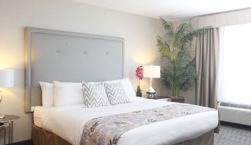 Comfort Room, Accessible