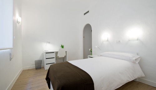 Single Room, 1 Twin Bed