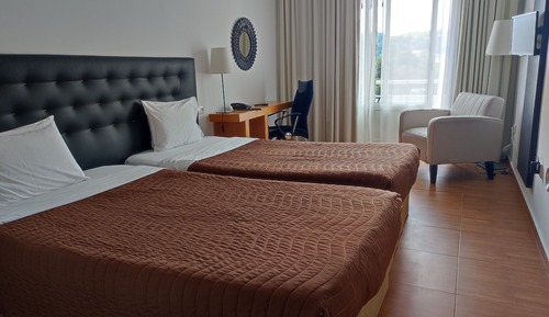 Double Room, Balcony, Mountain View