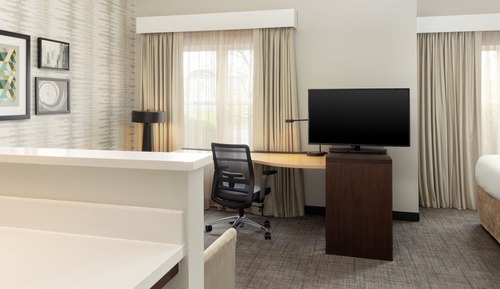 Studio, 1 King Bed with Sofa bed
