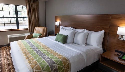 Executive Suite, 1 King Bed