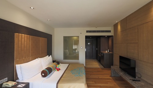 Premier King City View Room