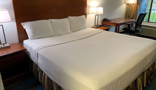 Room, 1 King Bed, Non Smoking