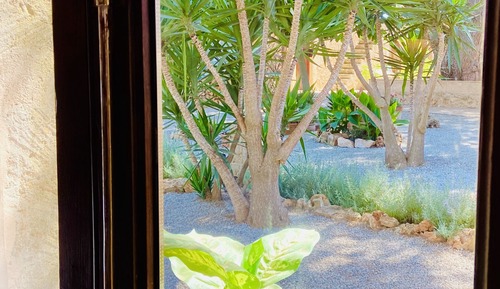 Superior Studio Suite