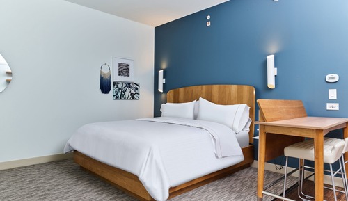 Studio, 1 King Bed with Sofa bed