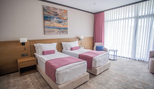 Superior Twin Room, Mountain View