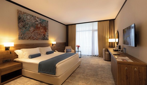Superior Double Room, Mountain View