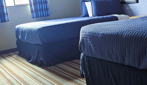 Basic Double Room