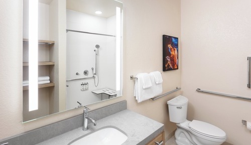 Room, 1 King Bed, Roll-in Shower (Mobility Accessible)