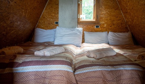 Cabin