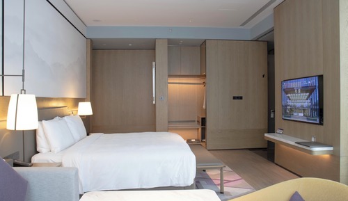 Studio, 1 King Bed, City View