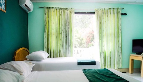 Basic Double Room