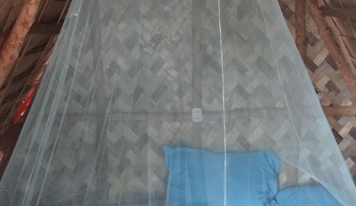 Basic Tent