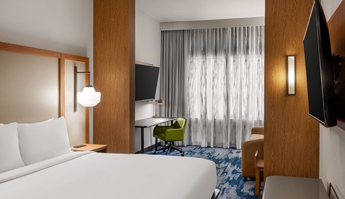 Suite, 1 King Bed with Sofa bed