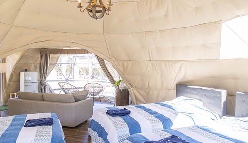 Twin dome