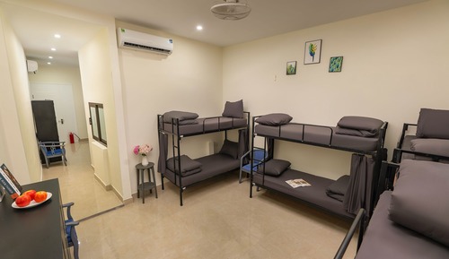 Deluxe Shared Dormitory, Mixed Dorm