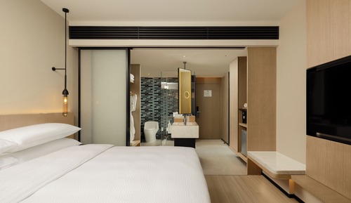 Standard Room, 1 King Bed, City View