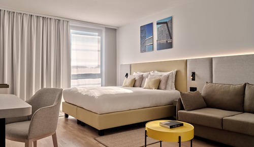 Premium Room, 1 King Bed with Sofa bed