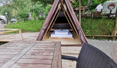 Luxury Tree House