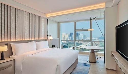 Room, 1 King Bed